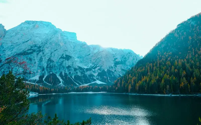智慧高端